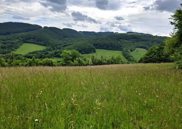 IBA U NÁS! Pozemok s luxusným výhľadom - Zemianske Podhradie