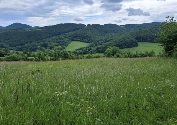 IBA U NÁS! Pozemok s luxusným výhľadom - Zemianske Podhradie
