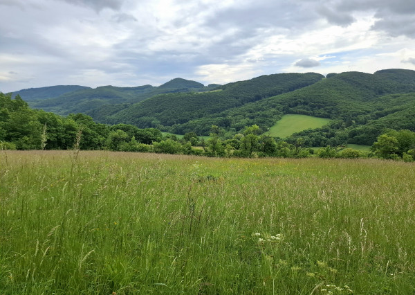 IBA U NÁS! Pozemok s luxusným výhľadom - Zemianske Podhradie