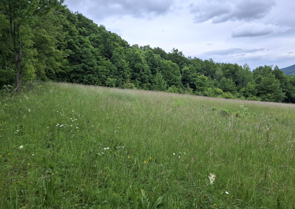 IBA U NÁS! Pozemok s luxusným výhľadom - Zemianske Podhradie