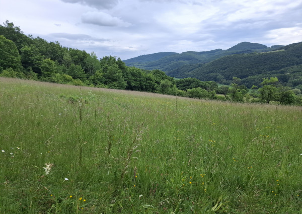 IBA U NÁS! Pozemok s luxusným výhľadom - Zemianske Podhradie