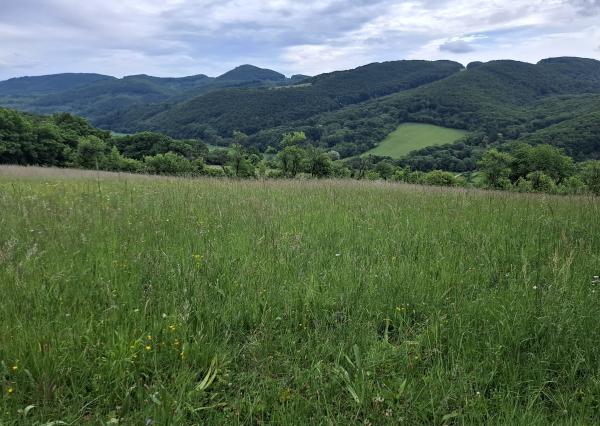 IBA U NÁS! Pozemok s luxusným výhľadom - Zemianske Podhradie