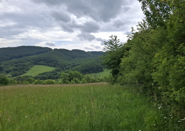 IBA U NÁS! Pozemok s luxusným výhľadom - Zemianske Podhradie