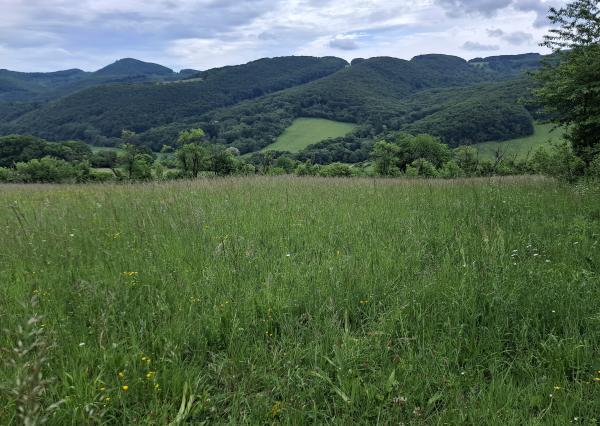 IBA U NÁS! Pozemok s luxusným výhľadom - Zemianske Podhradie