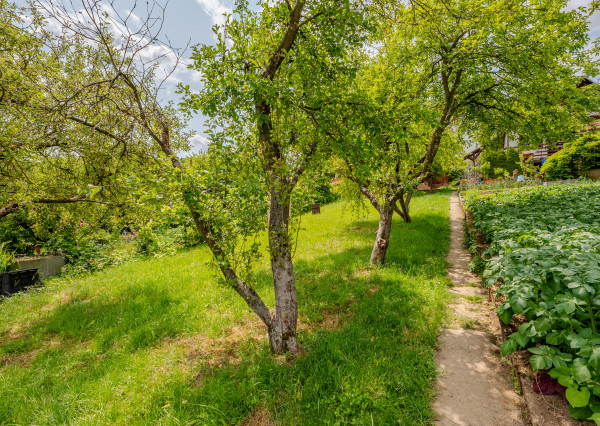 REZERVOVANÉ    IBA U NÁS! Chata Lednické Rovne, Púchov
