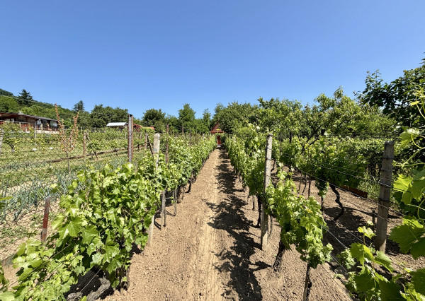 IBA U NÁS! Na predaj Chata - Kráľovský Chlmec