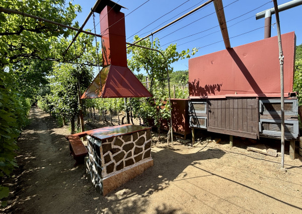 IBA U NÁS! Na predaj Chata - Kráľovský Chlmec