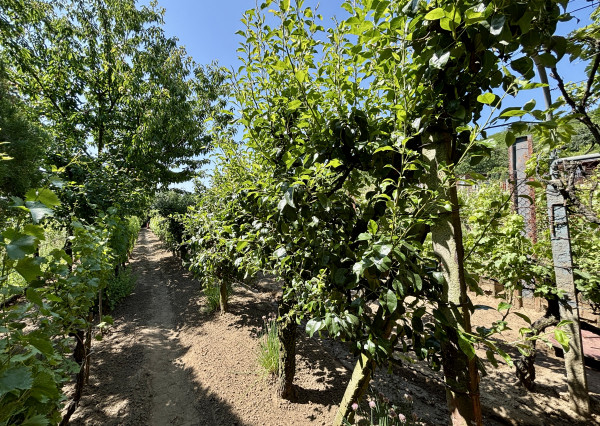 IBA U NÁS! Na predaj Chata - Kráľovský Chlmec
