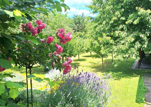 IBA U NÁS! Rodinný dom s väčšou záhradou - Lednické Rovne