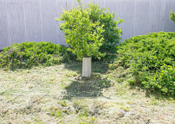 IBA U NÁS! 2-izbový sčasti zrekonštruovaný byt, 40 m2, Ilava