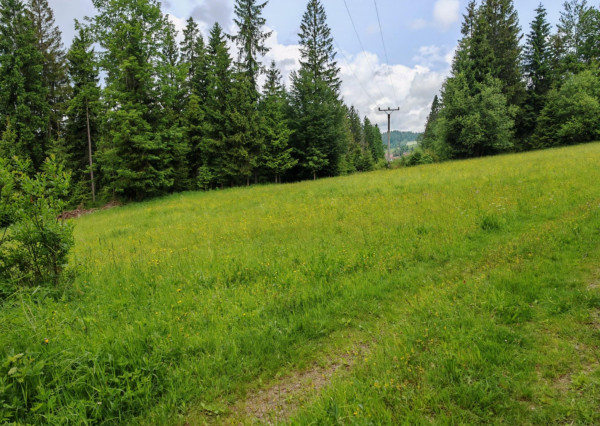 Investičný pozemok - Oravská Lesná 1.625 m²