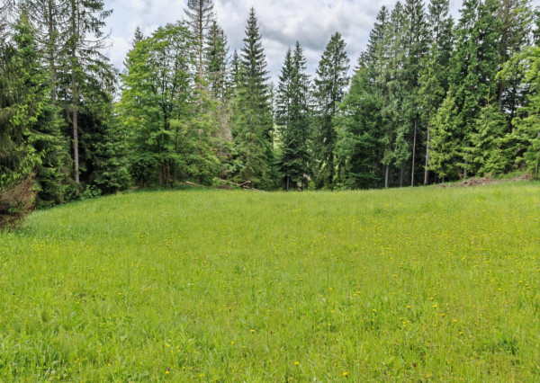 Investičný pozemok - Oravská Lesná 1.625 m²