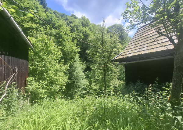 IBA U NÁS! Drevenica so stodolou na predaj - Dolná Mariková