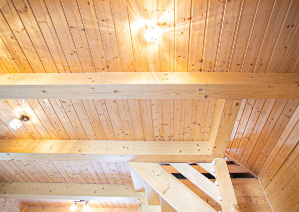 Rekreačná chata s nádherným výhľadom - Lednické Rovne,Púchov