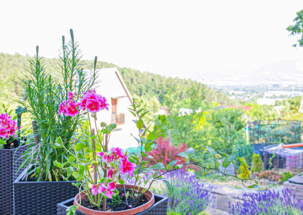 Rekreačná chata s nádherným výhľadom - Lednické Rovne,Púchov