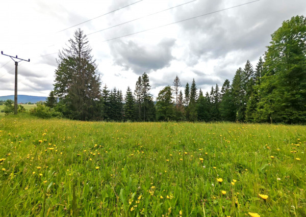 Investičný pozemok - Oravská Lesná 1.625 m²