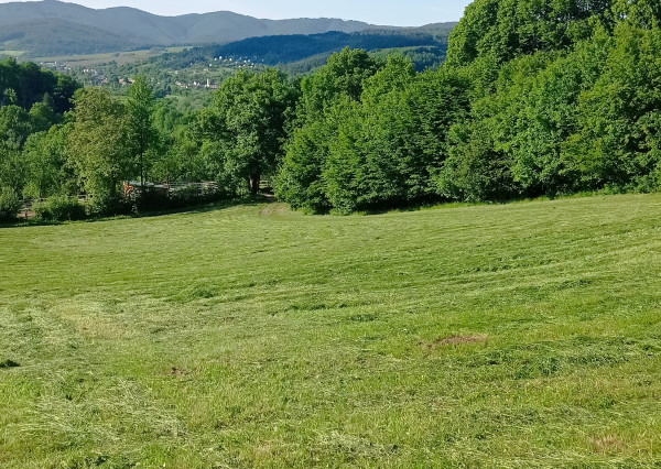 Predaj pozemku, Vieska - Bezdedov mestská časť mesta Púchov