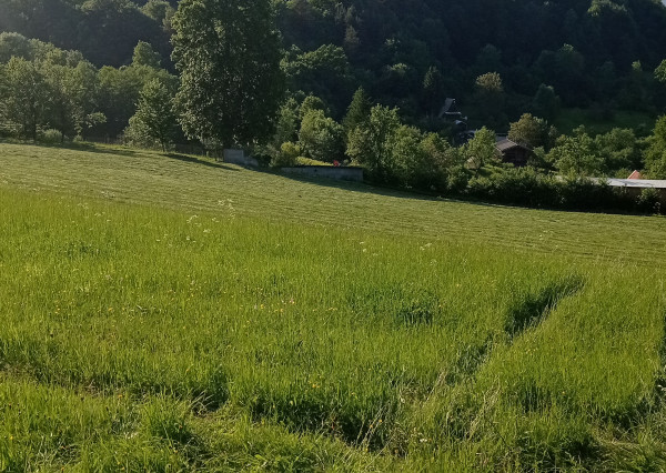 Predaj pozemku, Vieska - Bezdedov mestská časť mesta Púchov