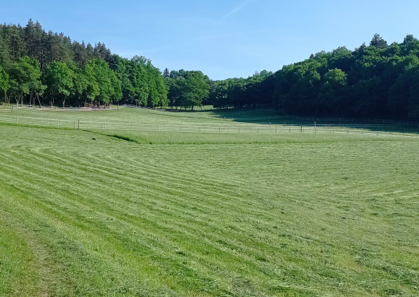 Predaj pozemku, Vieska - Bezdedov mestská časť mesta Púchov