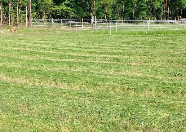 Predaj pozemku, Vieska - Bezdedov mestská časť mesta Púchov