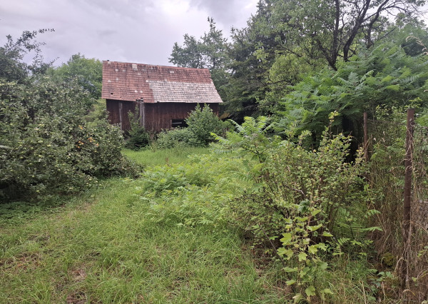 Výnimočná drevenica s väčším pozemkom - Lazy pod Makytou