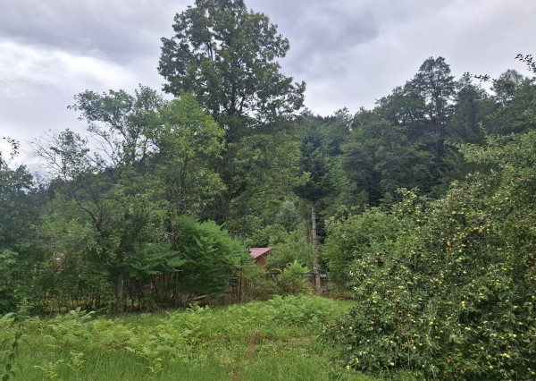 Výnimočná drevenica s väčším pozemkom - Lazy pod Makytou