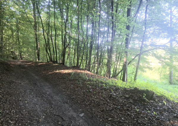 IBA U NÁS! Pozemok 1,8 ha pod lesom-Púchov-Vieska-Bezdedov