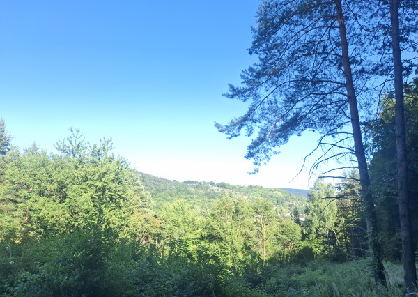 IBA U NÁS! Pozemok 1,8 ha pod lesom-Púchov-Vieska-Bezdedov