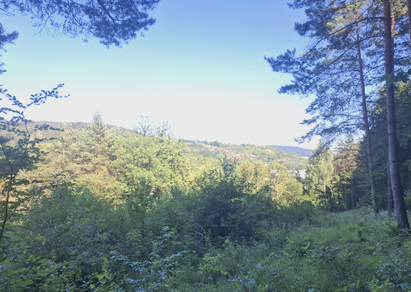 IBA U NÁS! Pozemok 1,8 ha pod lesom-Púchov-Vieska-Bezdedov