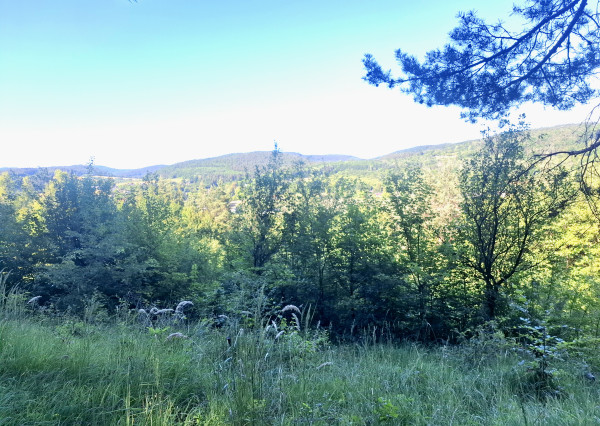 IBA U NÁS! Pozemok 1,8 ha pod lesom-Púchov-Vieska-Bezdedov