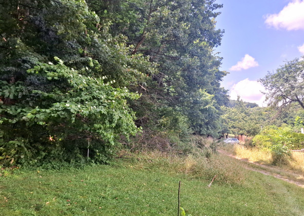 Rekreačná chalupa pod lesom na predaj-Radobica, ok.Prievidza