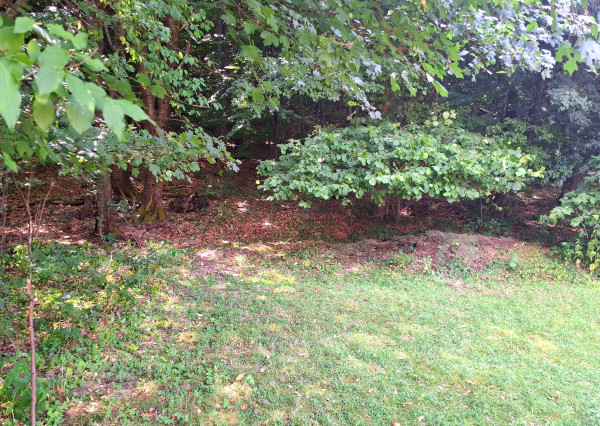 Rekreačná chalupa pod lesom na predaj-Radobica, ok.Prievidza