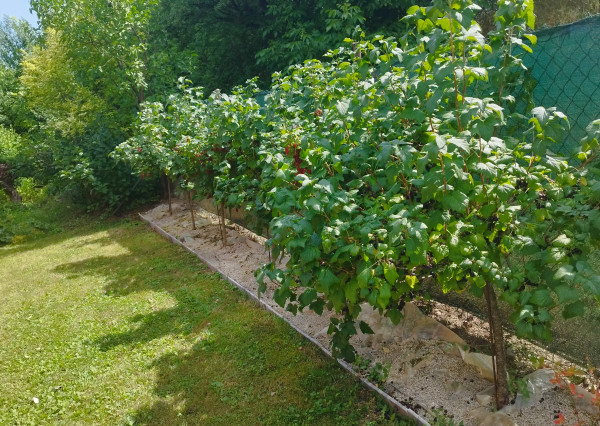 NA PREDAJ krásna chatka v Považskej Bystrici, časť Kalsové