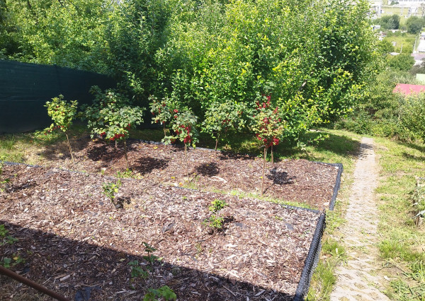 NA PREDAJ krásna chatka v Považskej Bystrici, časť Kalsové