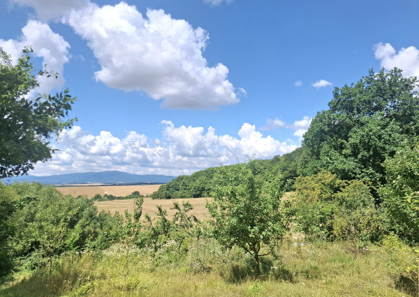 IBA U NÁS! Novostavba na samote v prírode s výhľadom - Prusy