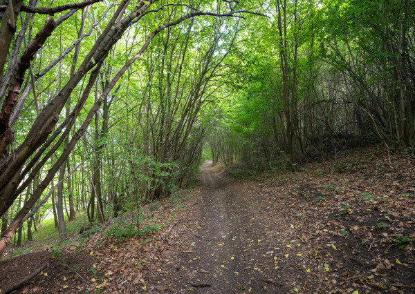 IBA U NÁS! Pozemok 1,8 ha pod lesom-Púchov-Vieska-Bezdedov