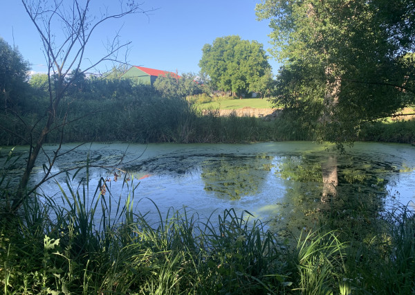 NA PREDAJ!  Jedinečný pozemok s vlastným jazerom – Maďarsko