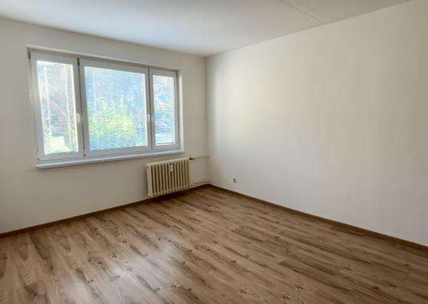 PREDANÉ! 1 izbový byt, loggia, Trieda SNP, Košice - Západ