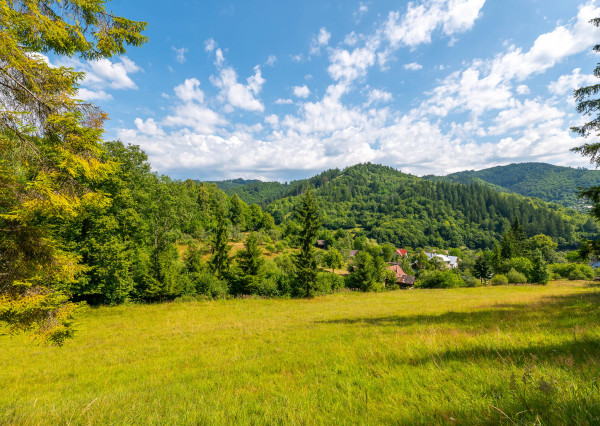 IBA U NÁS! 5203 m² stavebného pozemku v obci Veľké Rovné.