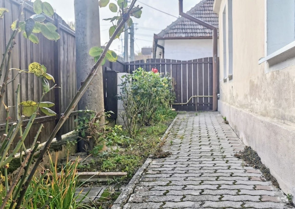 IBA U NÁS! Rodinný  Cérová – Rozbehy