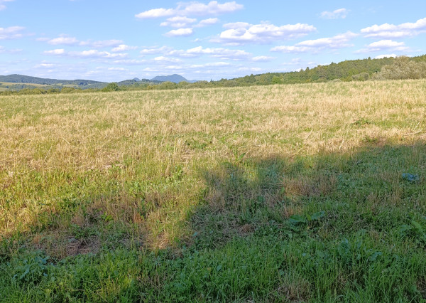 NA PREDAJ slnečný pozemok na výstavbu RD  Beluša,1935m2