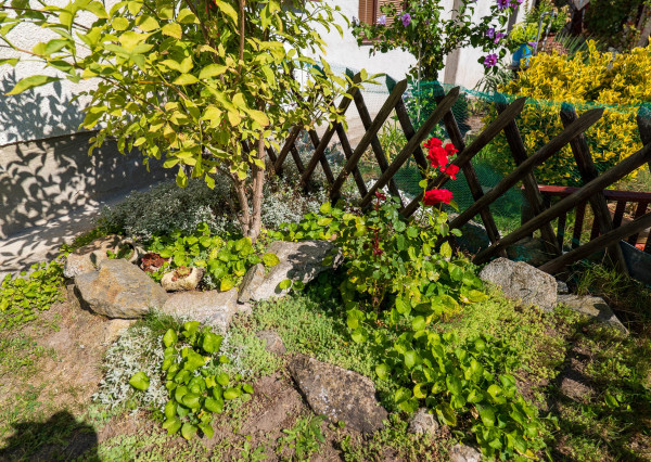 IBA U NÁS: Na predaj rodinný dom Svätý Jur – záhrada, garáž, pivnica