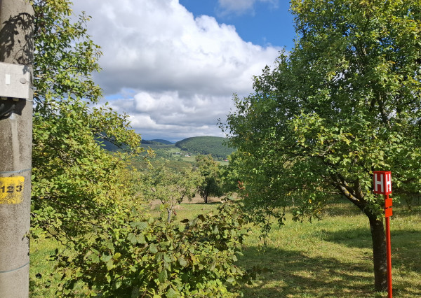NA PREDAJ! Ovocný sad s krásnym výhľadom - Bošáca,Zabudišová