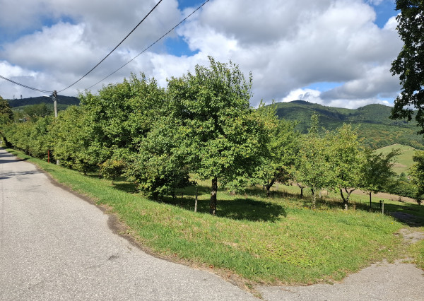 NA PREDAJ! Ovocný sad s krásnym výhľadom - Bošáca,Zabudišová