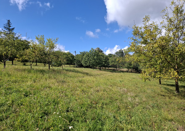 NA PREDAJ! Ovocný sad s krásnym výhľadom - Bošáca,Zabudišová
