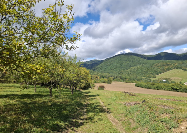 NA PREDAJ! Ovocný sad s krásnym výhľadom - Bošáca,Zabudišová