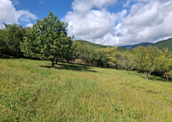 NA PREDAJ! Ovocný sad s krásnym výhľadom - Bošáca,Zabudišová