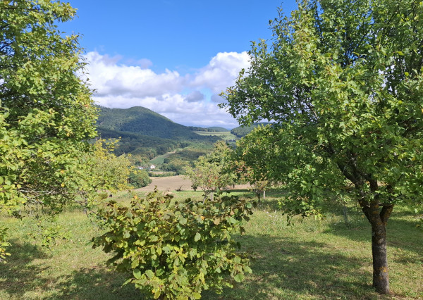 NA PREDAJ! Ovocný sad s krásnym výhľadom - Bošáca,Zabudišová