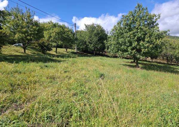 NA PREDAJ! Ovocný sad s krásnym výhľadom - Bošáca,Zabudišová
