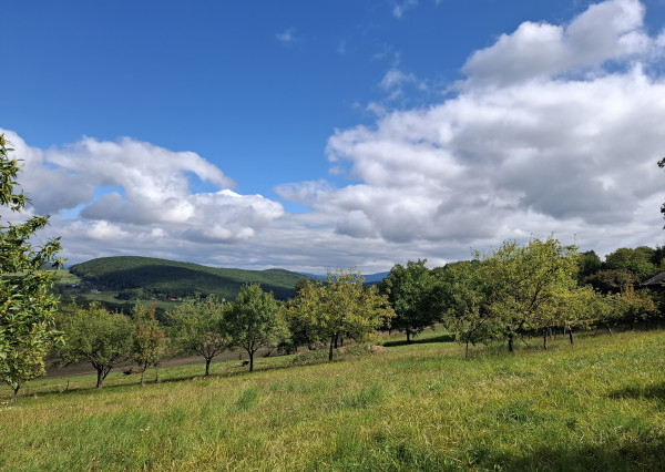 NA PREDAJ! Ovocný sad s krásnym výhľadom - Bošáca,Zabudišová